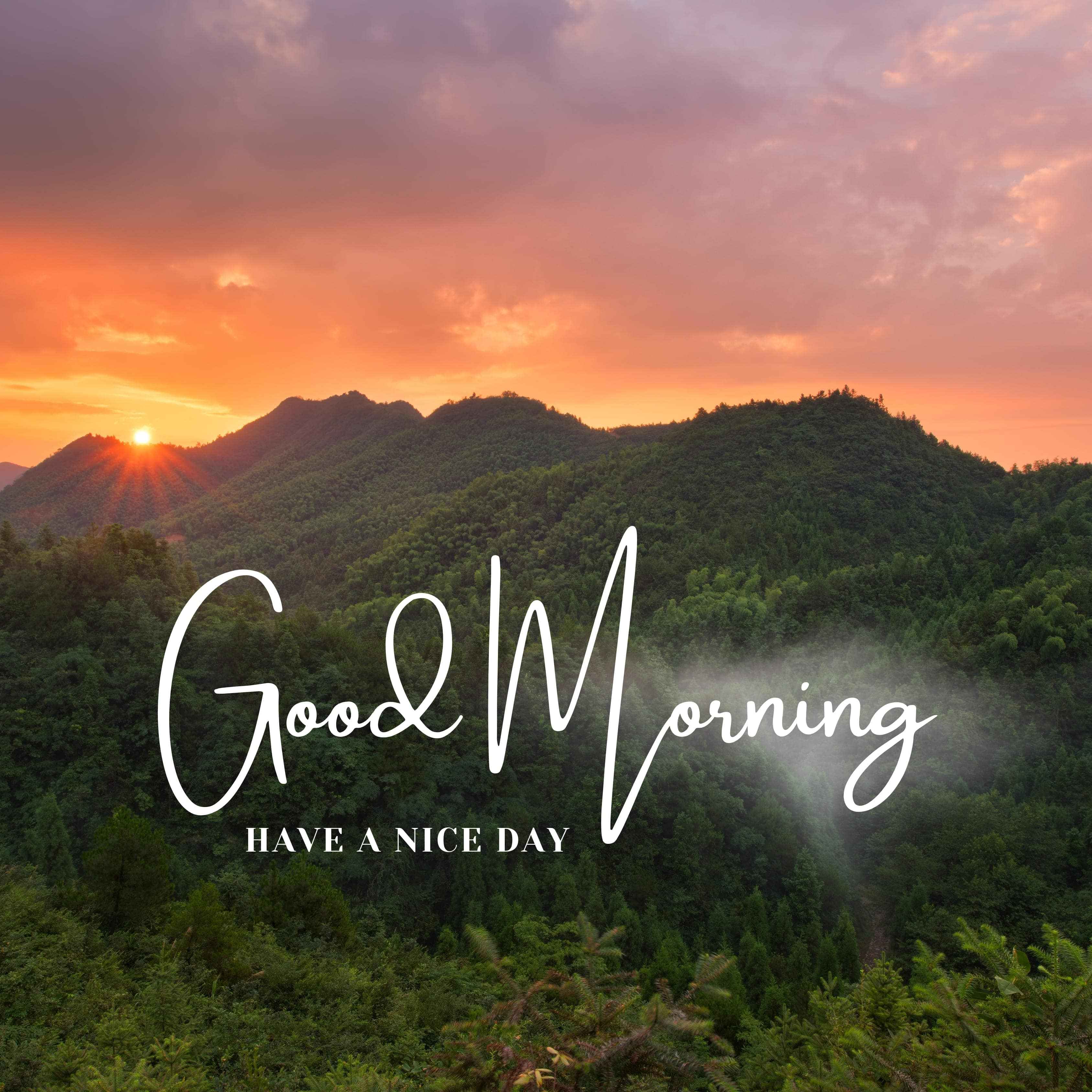 Good Morning