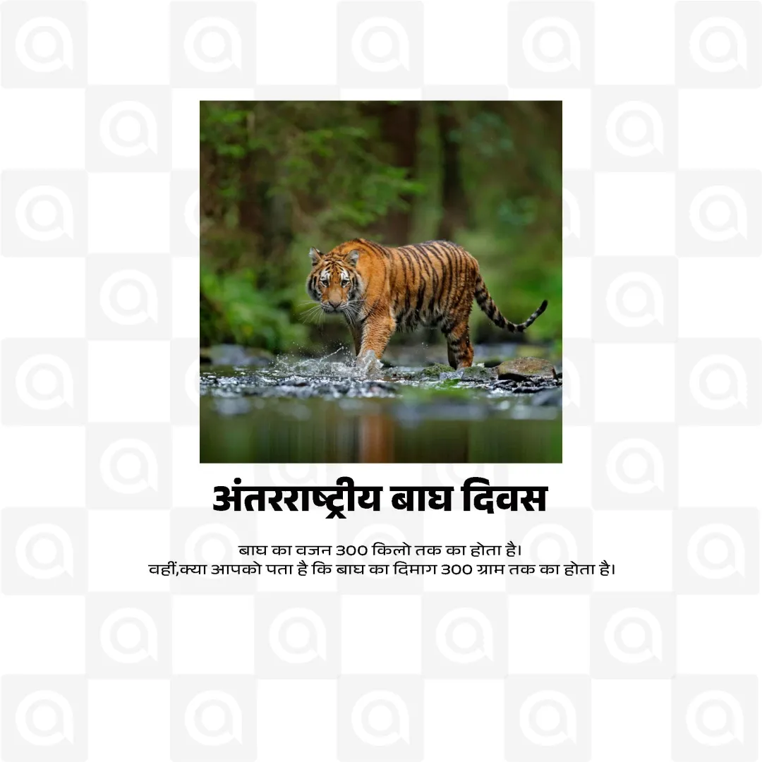 World Tiger Day Poster Template