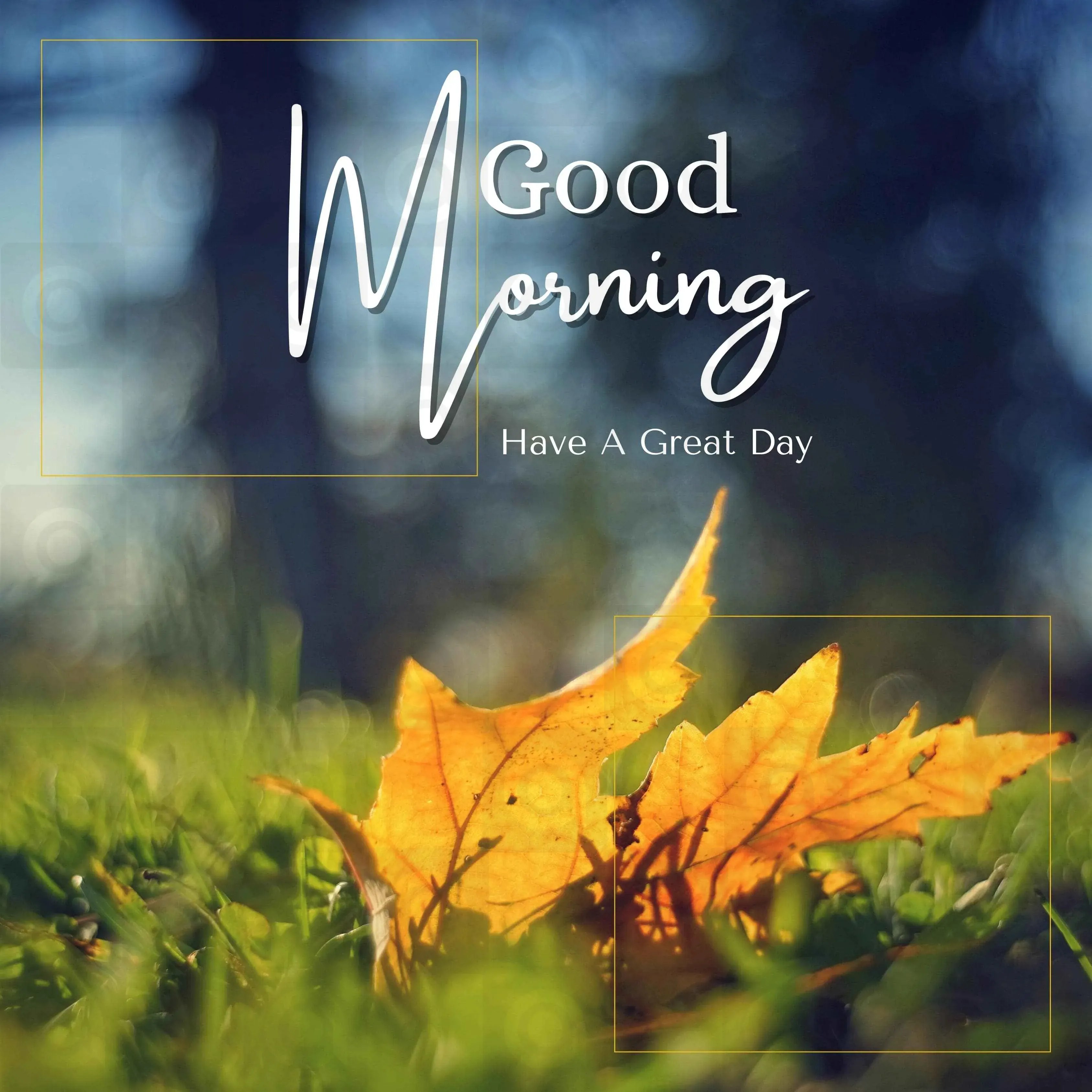 Good Morning Poster Template