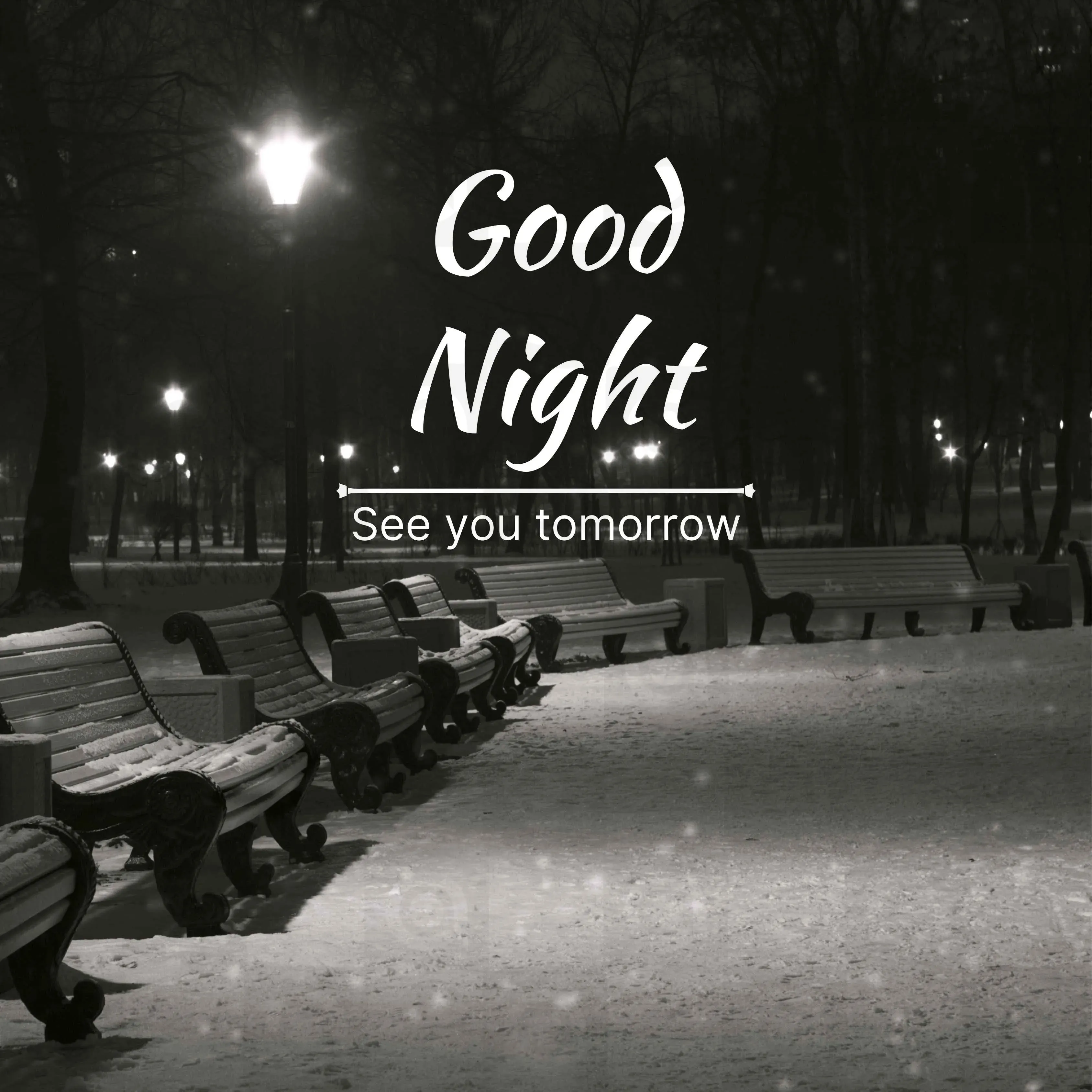 Good Night Poster Template