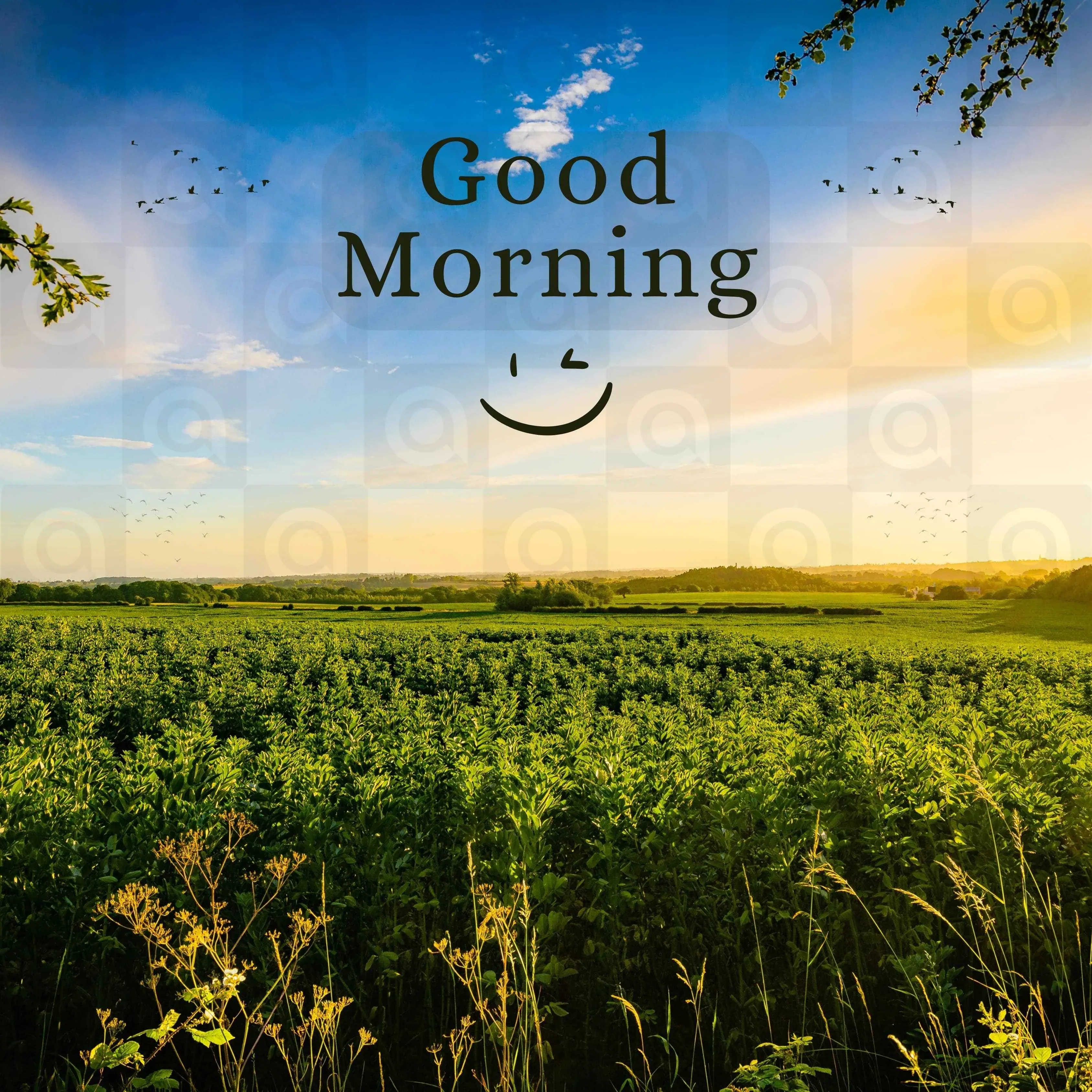 Good Morning Poster Template - Free Download