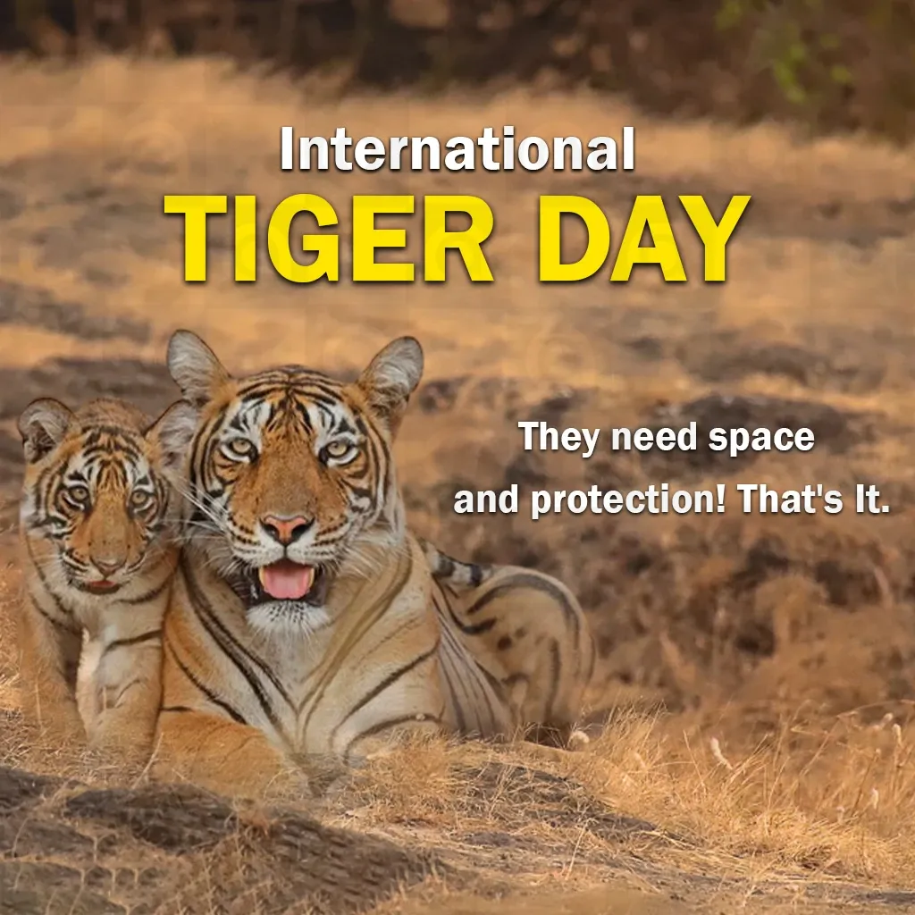 World Tiger Day Poster Template