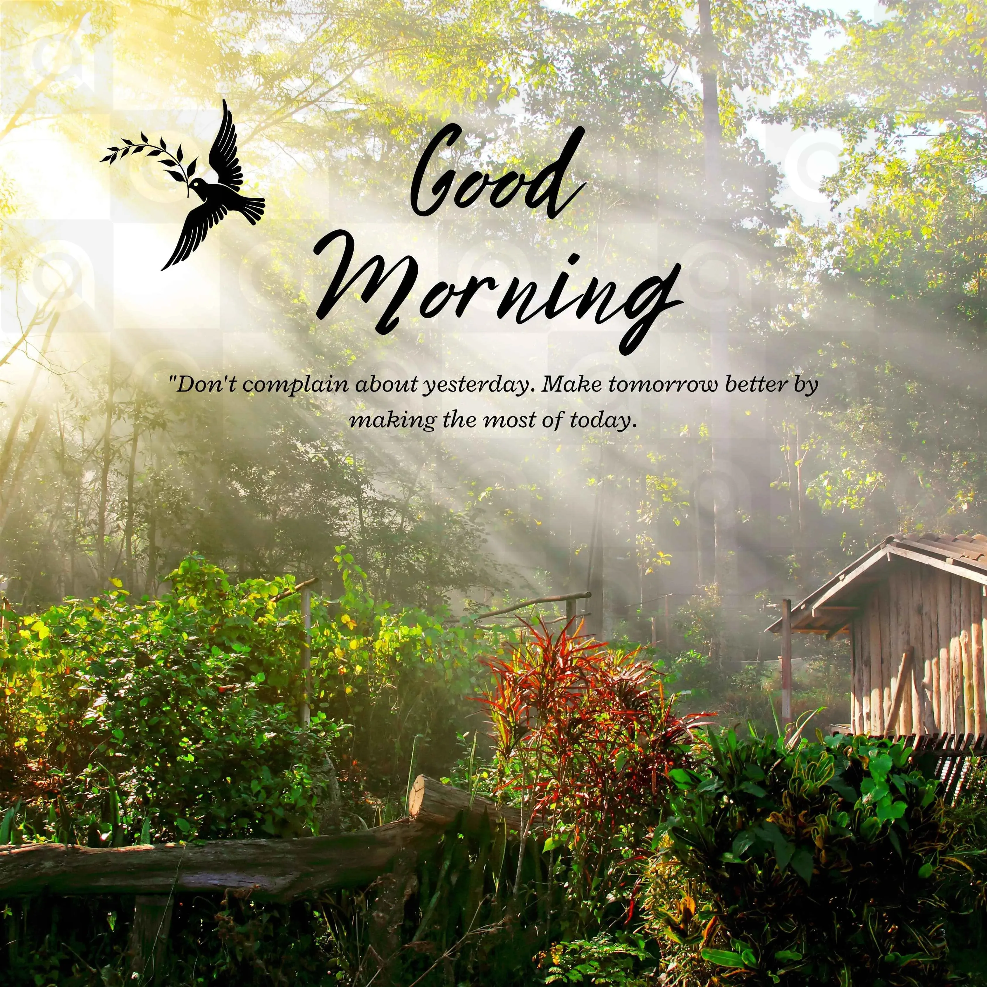 Good Morning Poster Template
