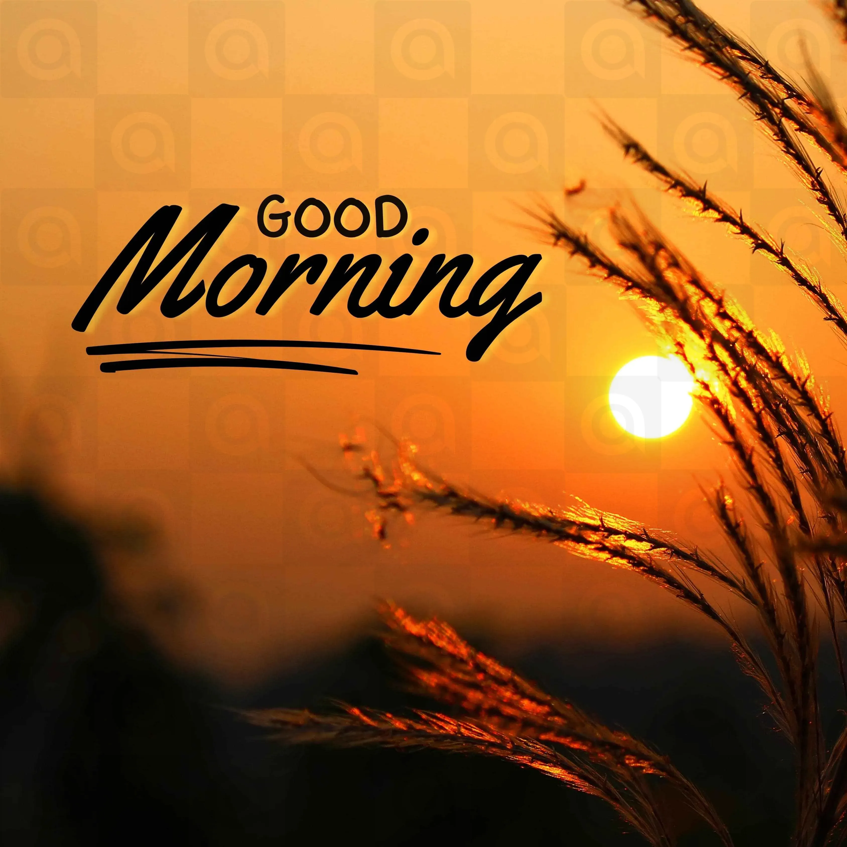 Good Morning Poster Template