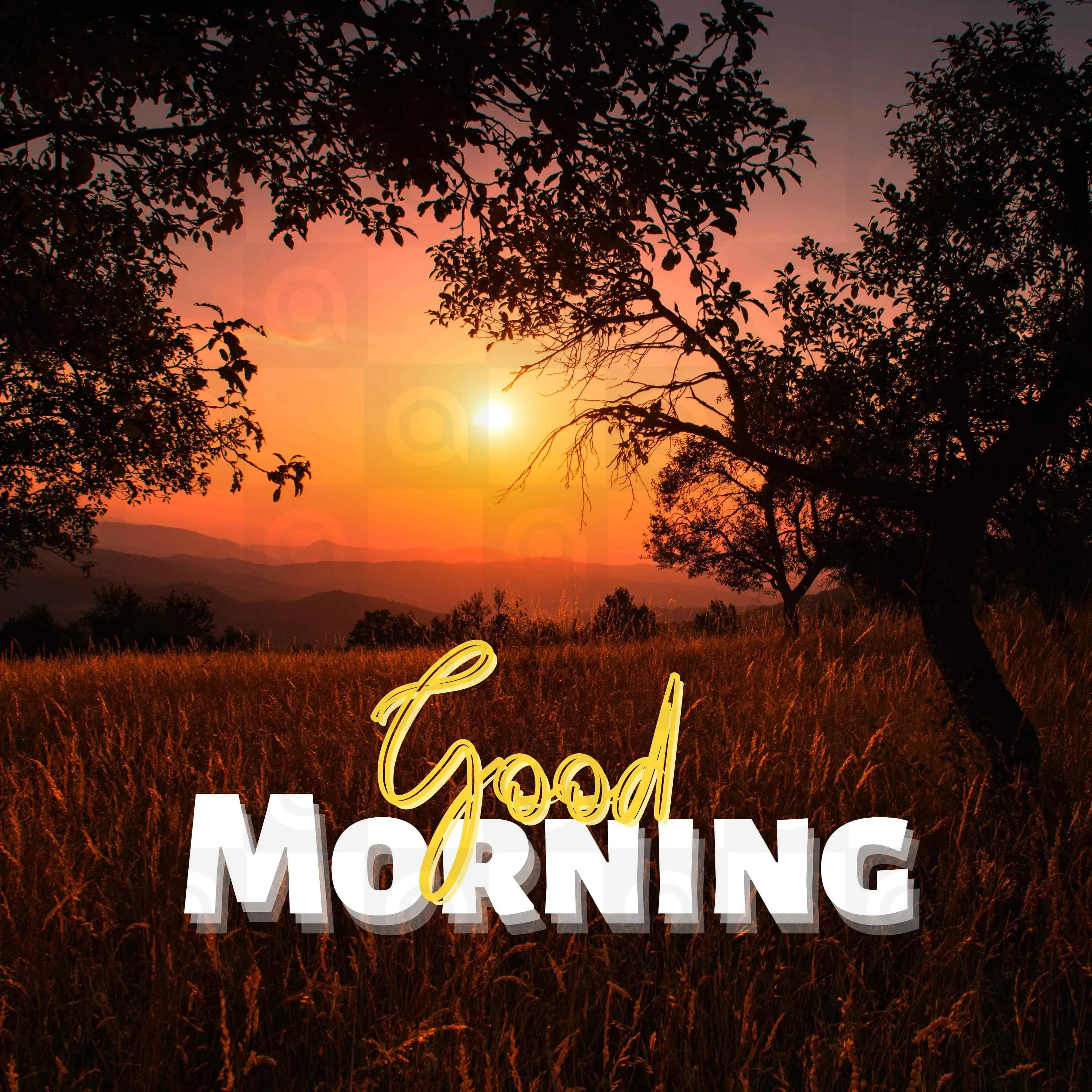 Good Morning Poster Template